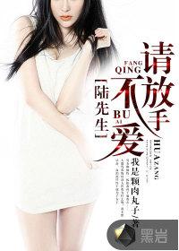 陆先生别追了
