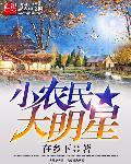 小农民大明星txt