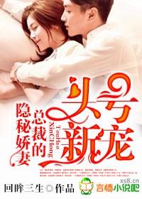 总裁的隐婚初恋免费阅读