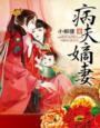 病妻芙说免费