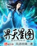 二十四天星详解图