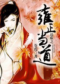 还珠之雍正回魂完整版