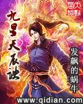 九星天辰诀叶辰老婆