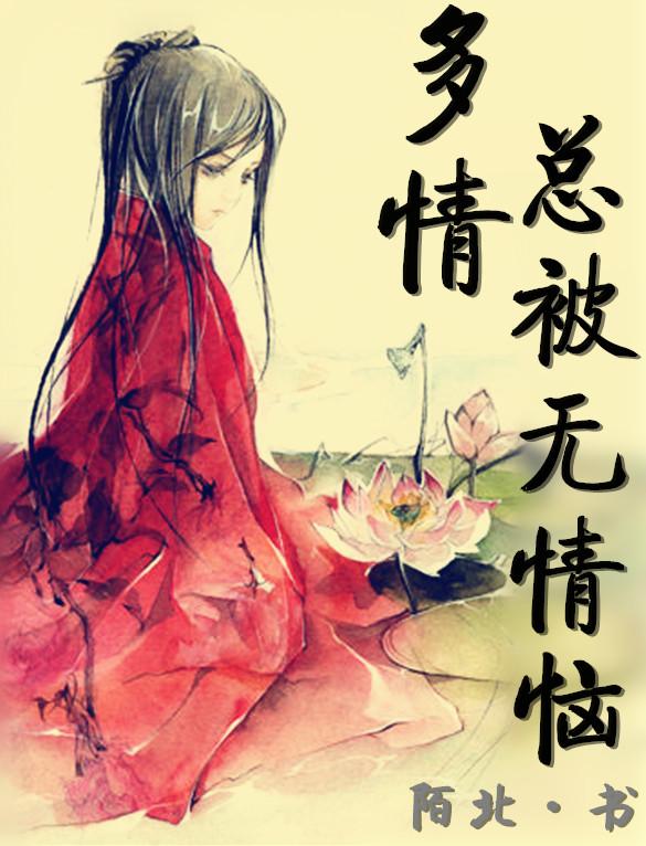 墙里佳人