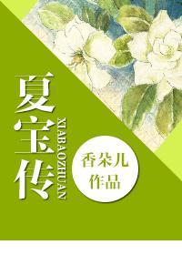 夏宝传3最新章节