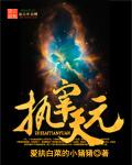 执宰大明朱元青在线阅读