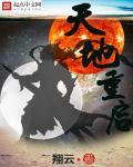 天地大重丧