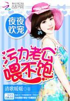 夜夜不休老公轻轻宠免费阅读