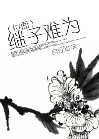 继子难驯txt