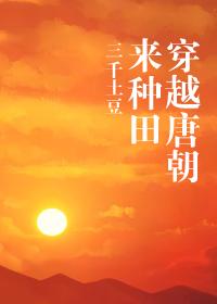 女主穿越唐朝种田