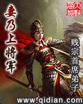 妻乃上将军有几个女主