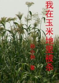 玉米地被别人看到