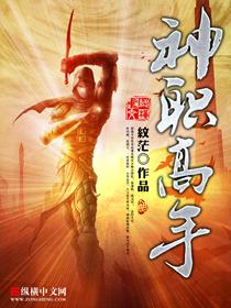 全职高手中的神之领域是什么意思