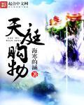 天庭科技网络有限公司