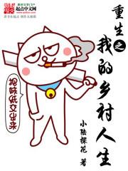 重生乡村的完结