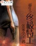 重生之终极杀手全集
