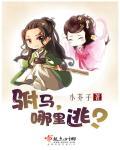 驸马好不好