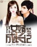 女婿的手段短文