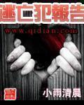 逃亡犯报告txt精校版