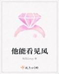 风能看得见
