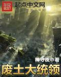 废土军阀perk