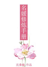 类似名媛修炼手册的足球文