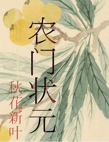 农门状元郎第二季短剧