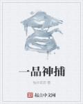 一品神汤到底是什么?