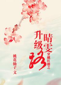 红楼之晴雯同人文