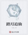 踏星追月全部作品