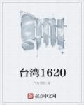 台湾16个民族人口排名