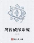 侦探带系统的