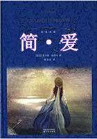 简·爱主旨