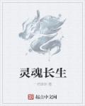 灵魂永生txt