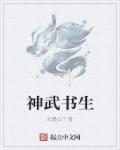 神武打低级书