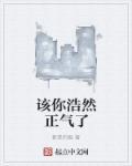 浩然正气什么意思?