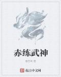 赤龙武神无弹窗免费阅读全文