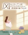 风从东方来是什么类型的书