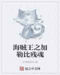 海贼王加勒比海盗