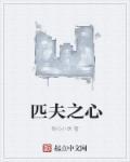 匹夫之士什么意思