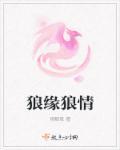 狼情月意