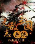 三国 无敌怨念系统