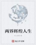 官道之辉煌人生