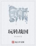 战国系列游戏