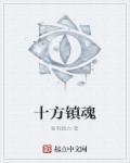 十方镇属于哪个县