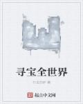 寻宝全世界张景纵横