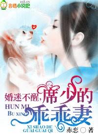 隐婚吧免费阅读