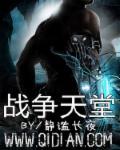 战争天堂 电影免费观看