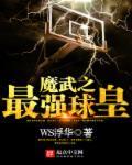 魔皇武尊全文阅读