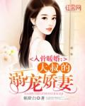 大叔宠妻全部